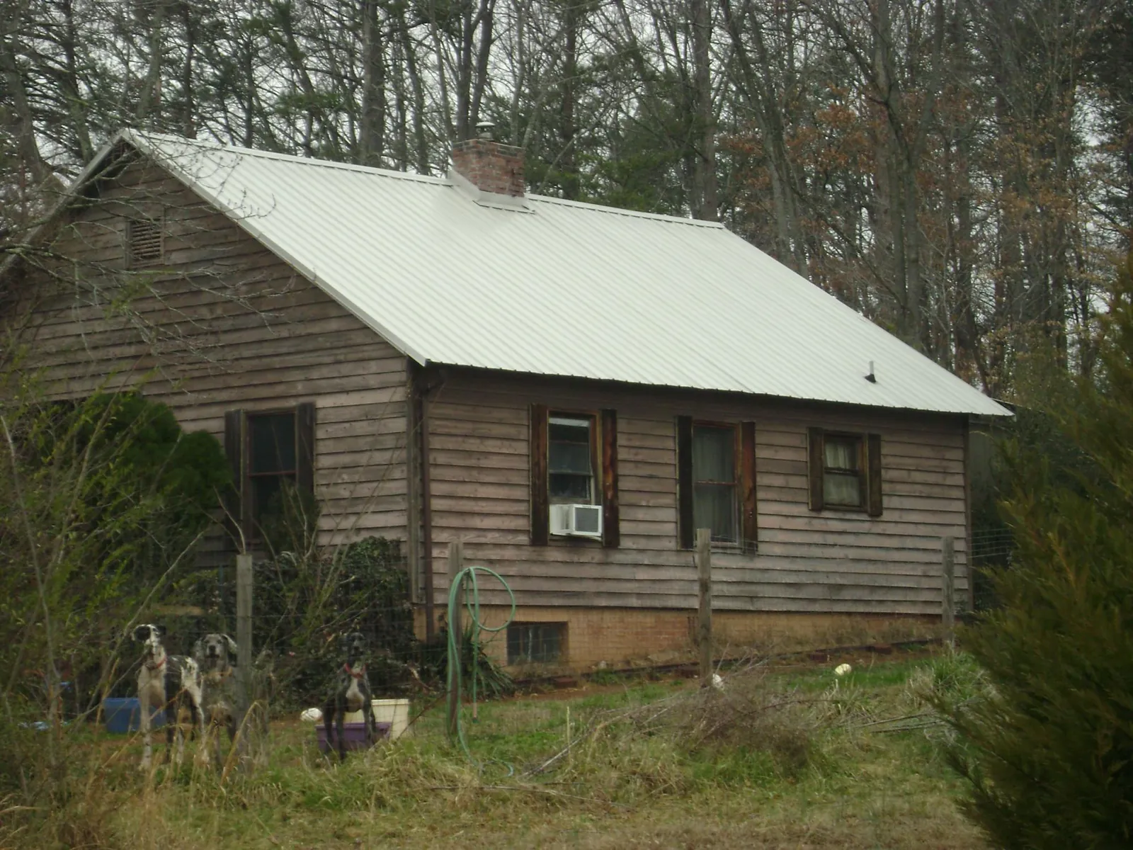 White metal roof on an old wood sided farmhouse, from a Asphalt Shingle Roof Repair job in Chesterland